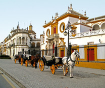 Seville City Tour & Shopping															